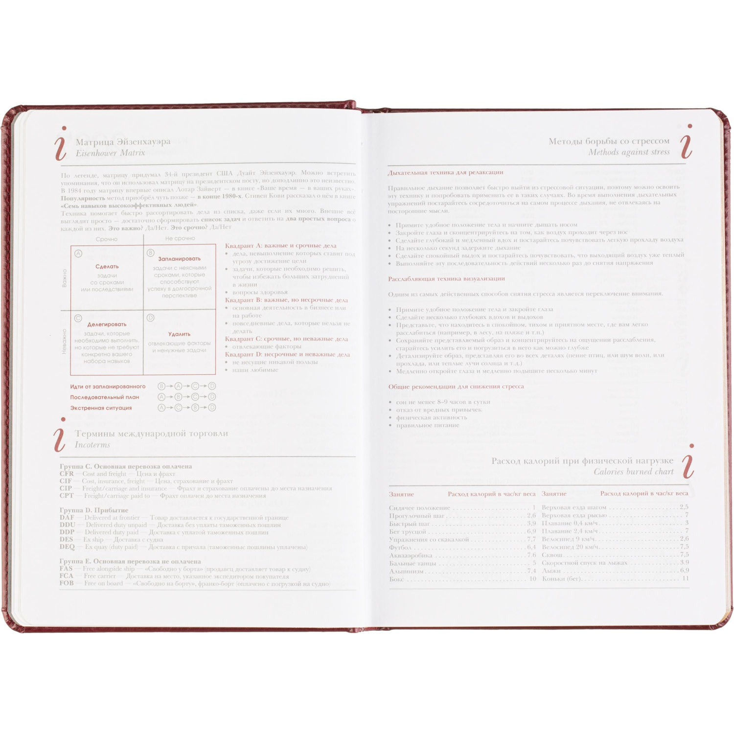 Ежедневник датированный 2026 А5+ SIDNEY NEBRASKA борд, золот обрез 3-125/01 - фото 11