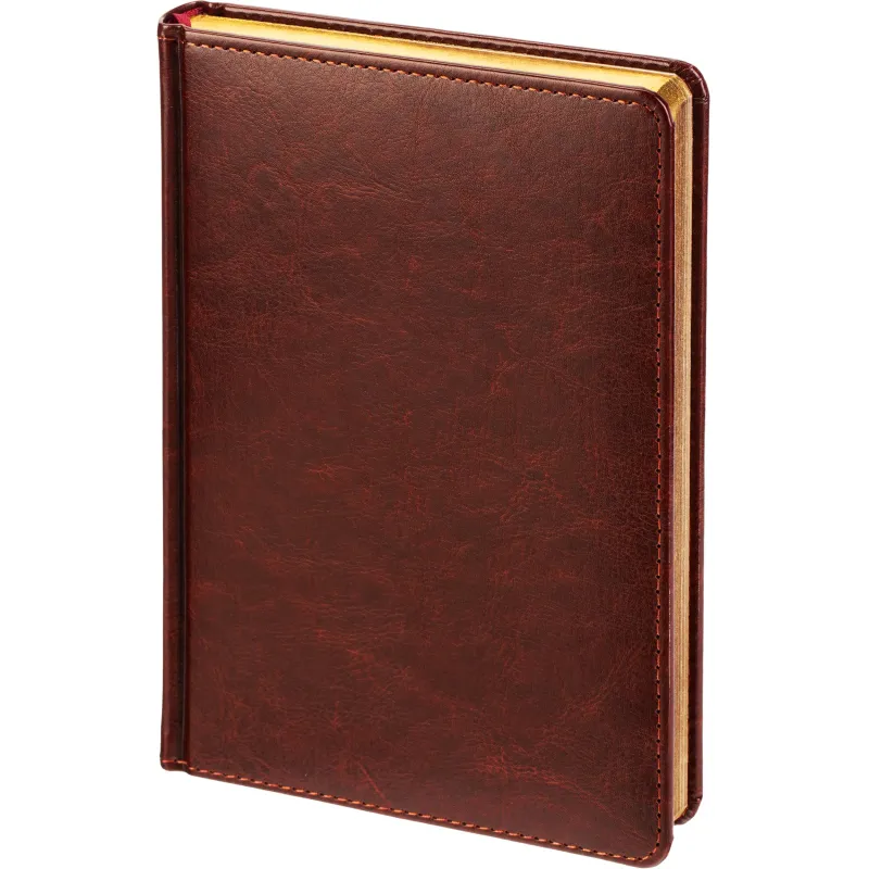 Ежедневник датированный 2026 А5+ SIDNEY NEBRASKA кор, зол обрез 3-125/03 - фото 1