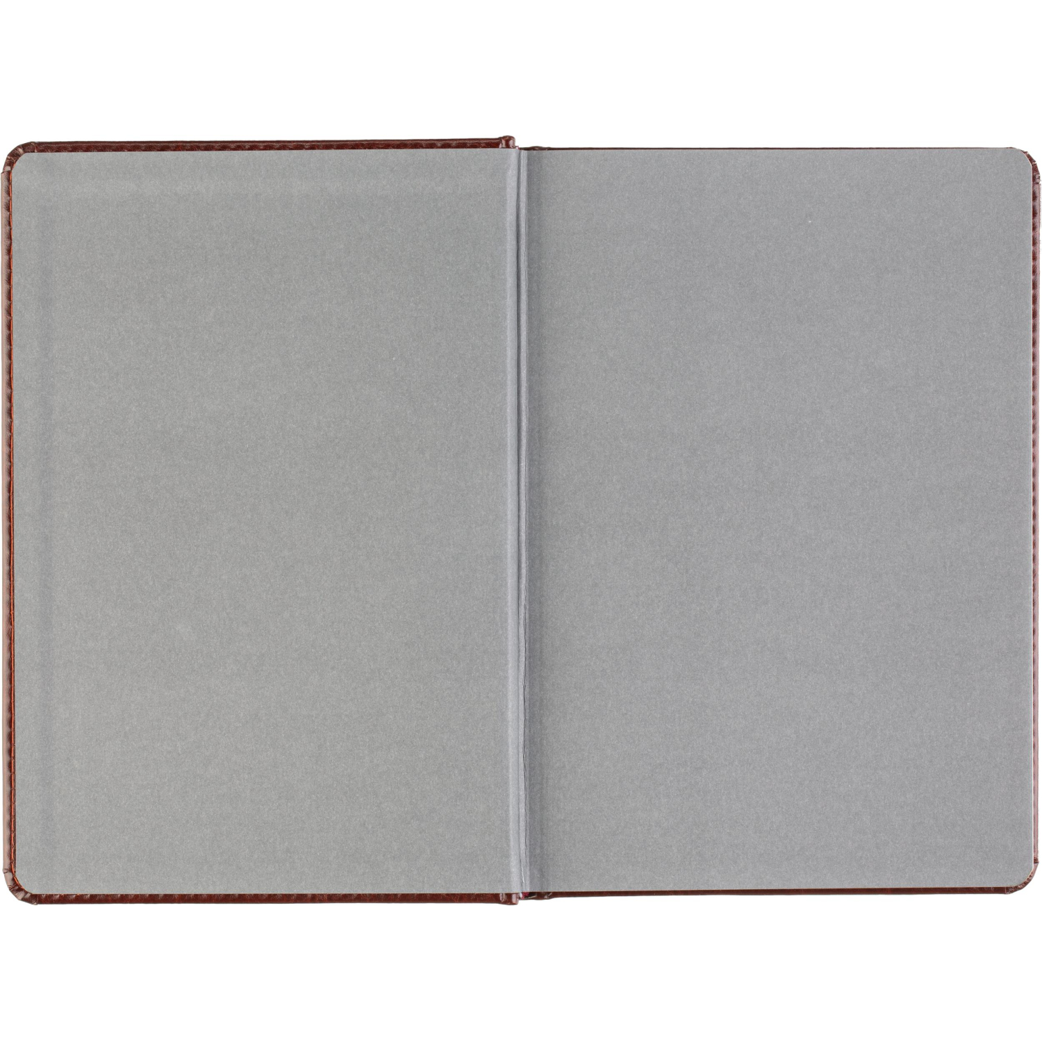 Ежедневник датированный 2026 А5+ SIDNEY NEBRASKA кор, зол обрез 3-125/03 - фото 7