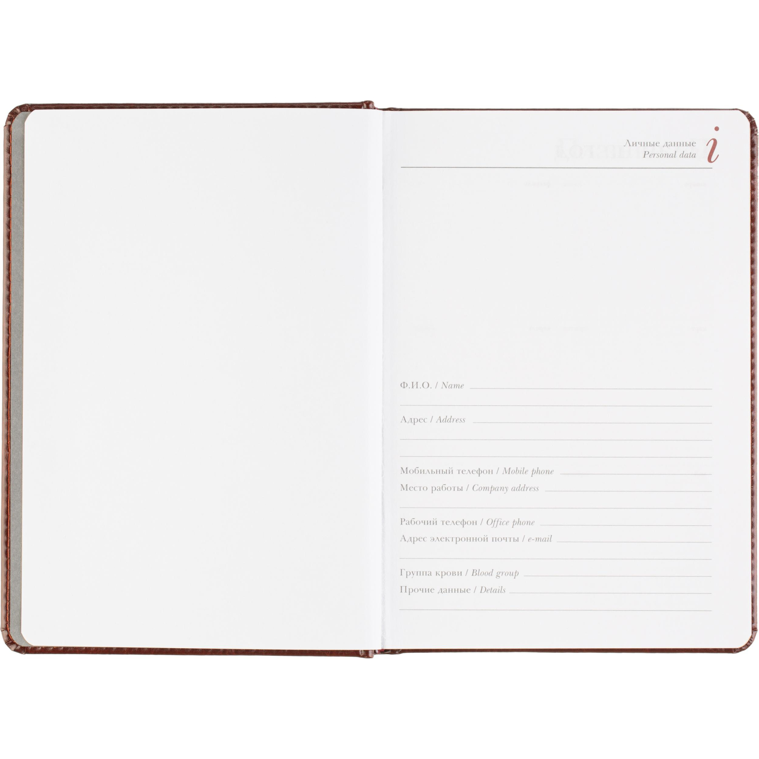 Ежедневник датированный 2026 А5+ SIDNEY NEBRASKA кор, зол обрез 3-125/03 - фото 8