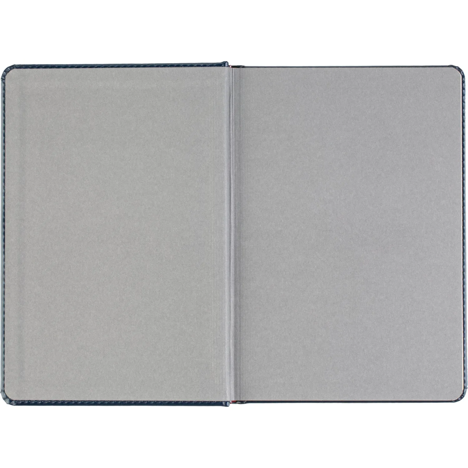 Ежедневник датированный 2026 А5+ SIDNEY NEBRASKA синий, зол обрез 3-125/04 - фото 6