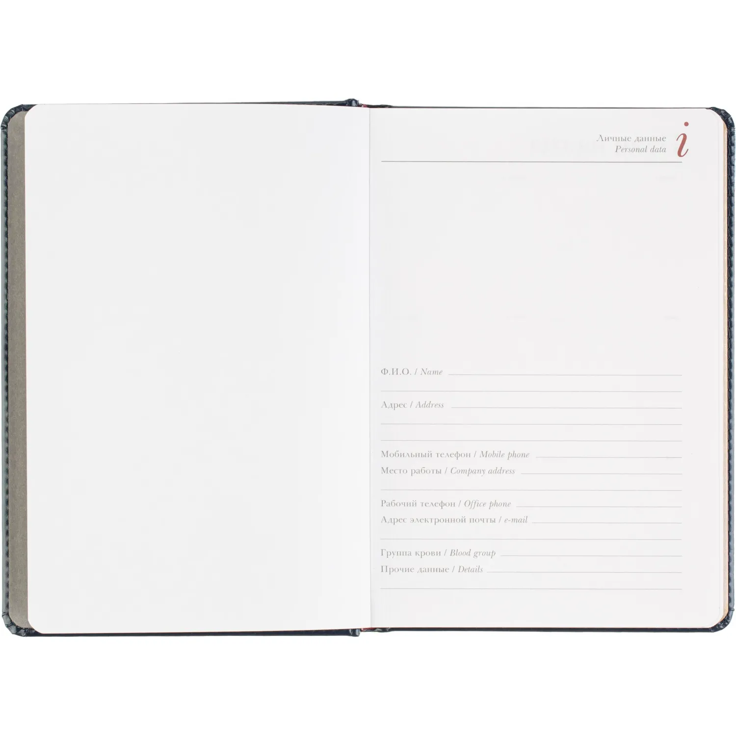 Ежедневник датированный 2026 А5+ SIDNEY NEBRASKA синий, зол обрез 3-125/04 - фото 7