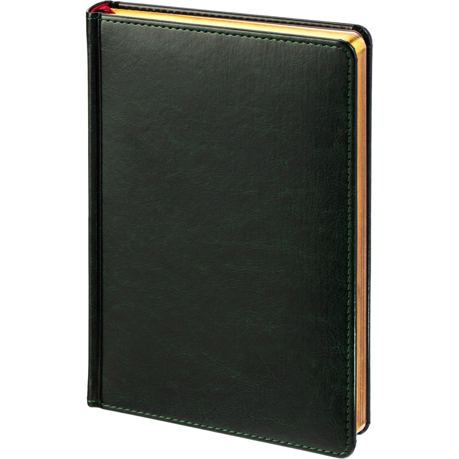 Ежедневник датированный 2026 А5+ SIDNEY NEBRASKA зелен, зол обрез 3-125/05 - фото 1