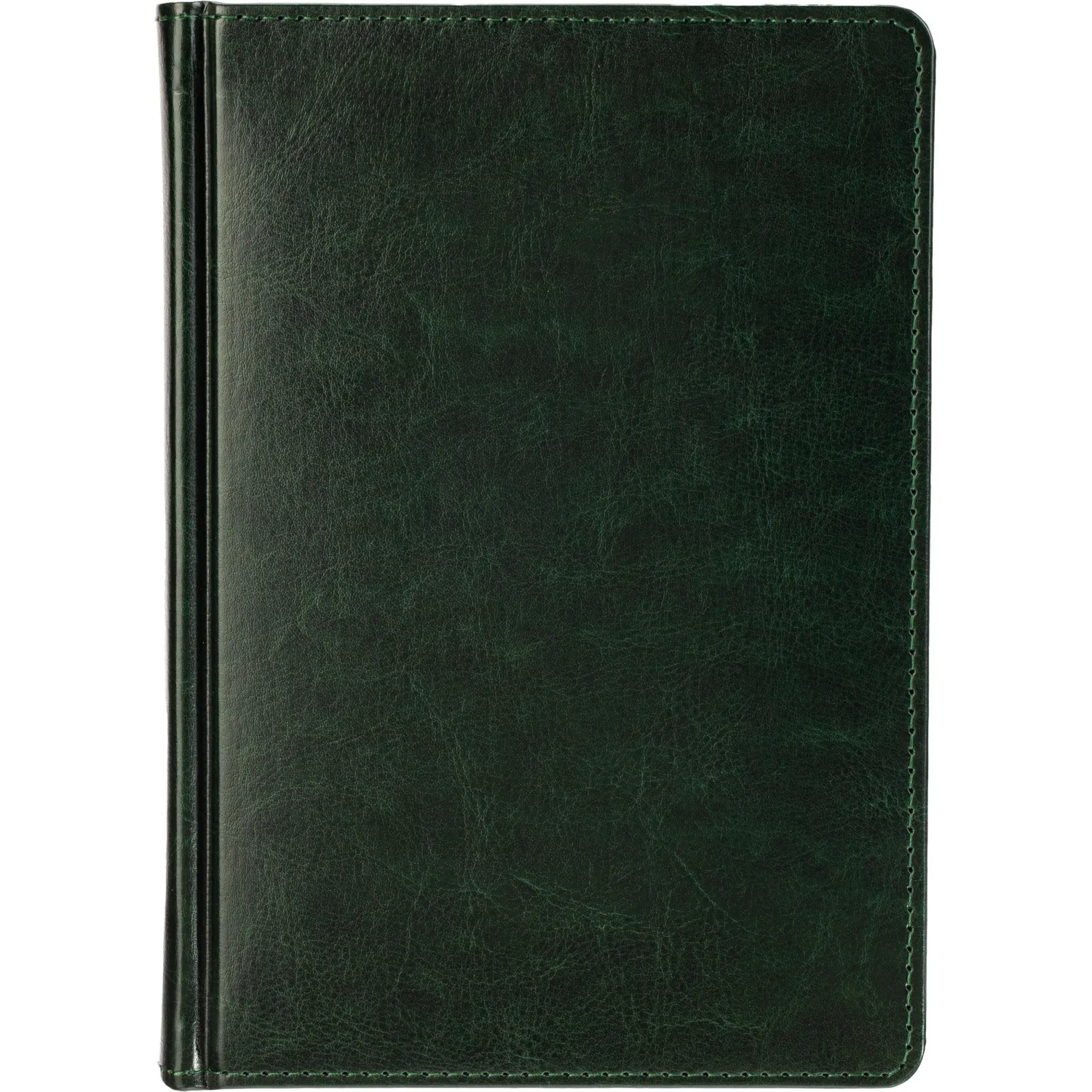 Ежедневник датированный 2026 А5+ SIDNEY NEBRASKA зелен, зол обрез 3-125/05 - фото 2