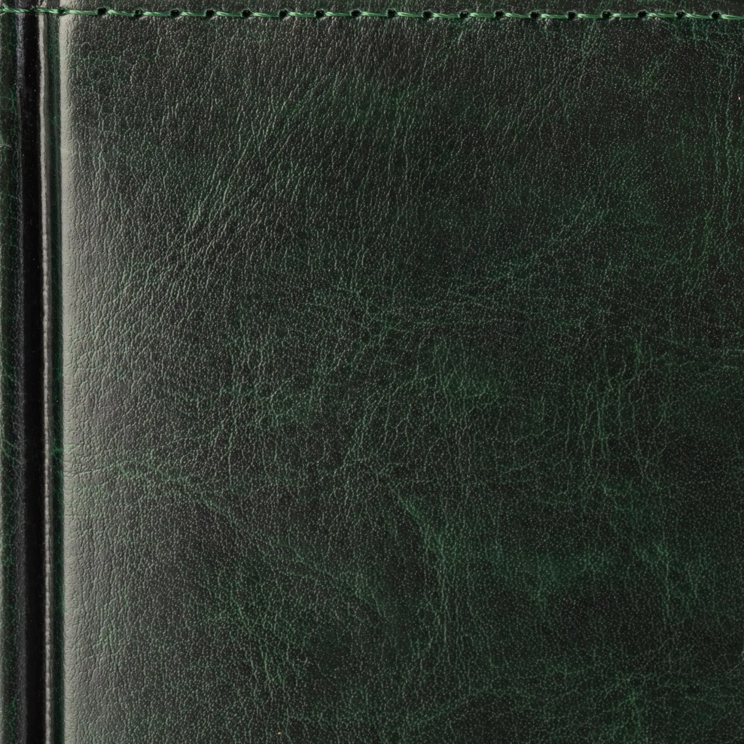 Ежедневник датированный 2026 А5+ SIDNEY NEBRASKA зелен, зол обрез 3-125/05 - фото 4