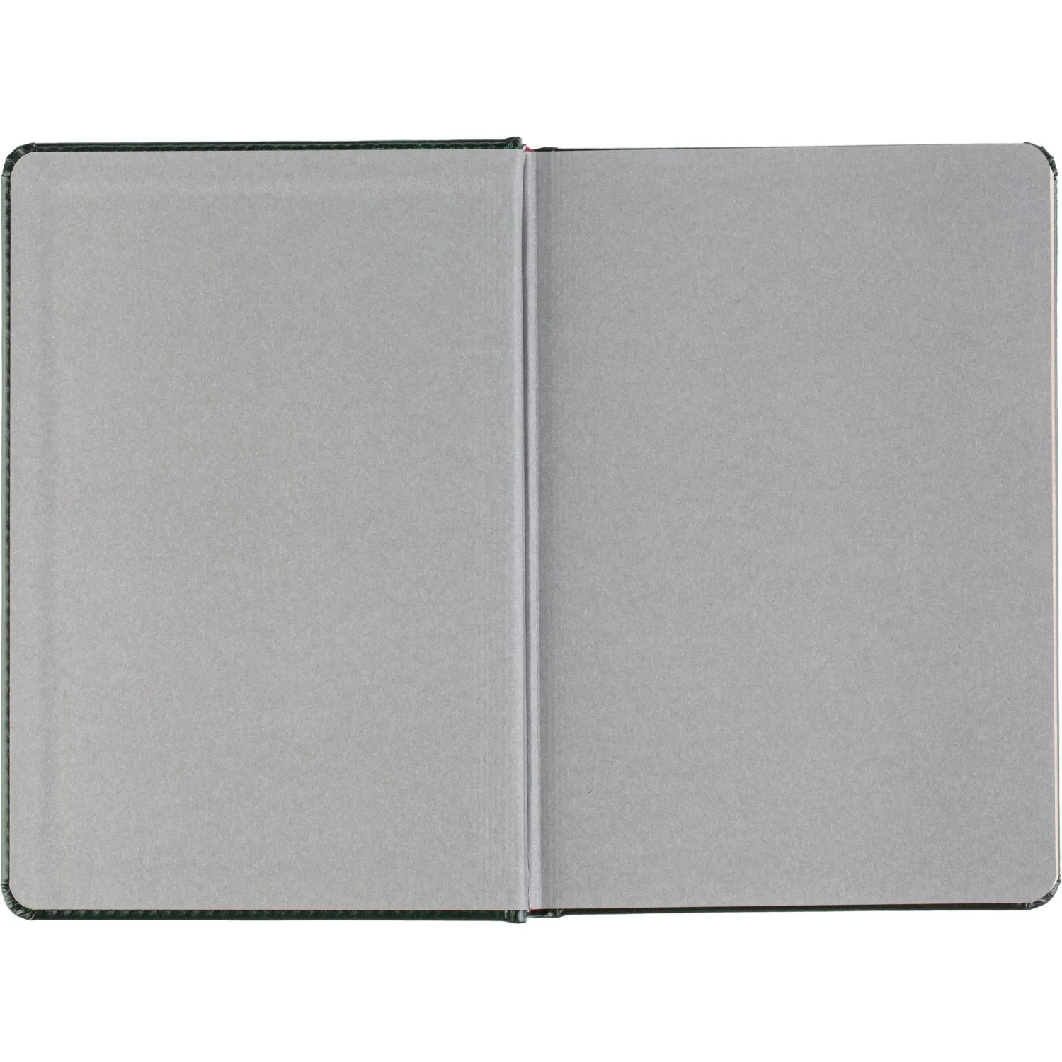 Ежедневник датированный 2026 А5+ SIDNEY NEBRASKA зелен, зол обрез 3-125/05 - фото 6