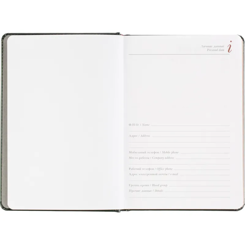 Ежедневник датированный 2026 А5+ SIDNEY NEBRASKA зелен, зол обрез 3-125/05 - фото 7