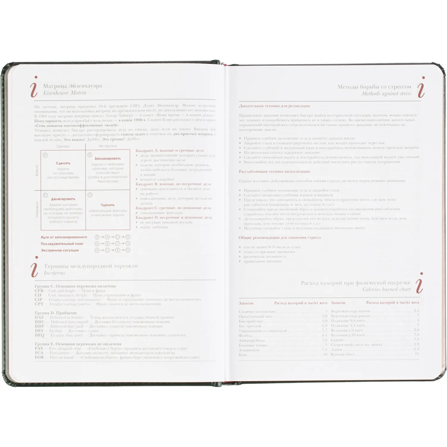 Ежедневник датированный 2026 А5+ SIDNEY NEBRASKA зелен, зол обрез 3-125/05 - фото 10