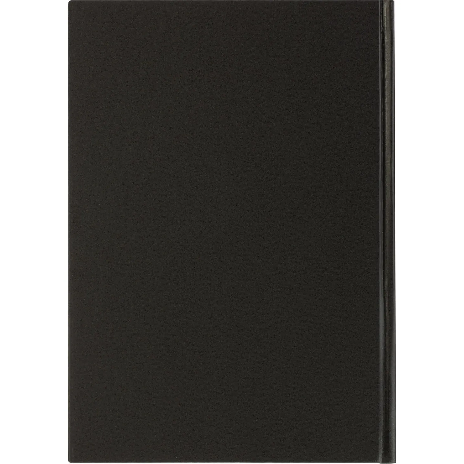 Ежедневник датированный 2026 А5+ IDEAL NEW черный 3-344/03 - фото 17