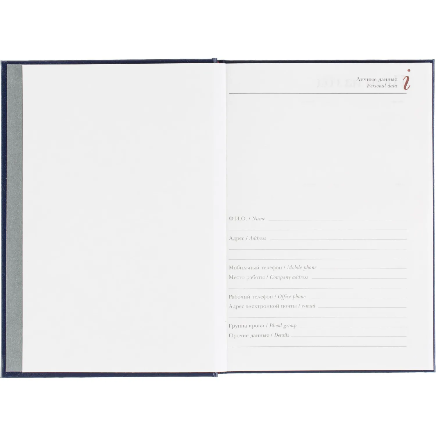 Ежедневник датированный 2026 А5+ IDEAL NEW синий 3-344/05 - фото 7