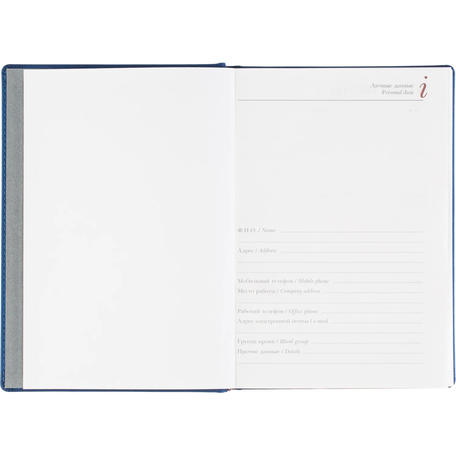 Ежедневник датированный 2026 А5+ VELVET синий 3-123/01 - фото 7