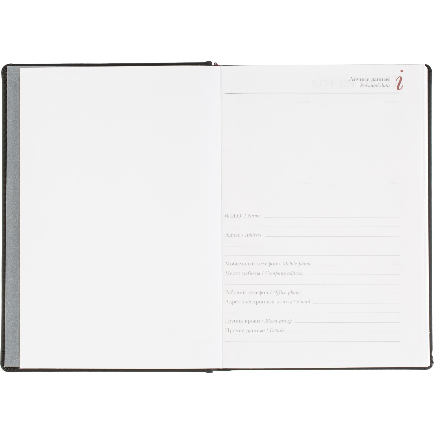 Ежедневник датированный 2026 А5+ VELVET черный 3-123/04 - фото 7