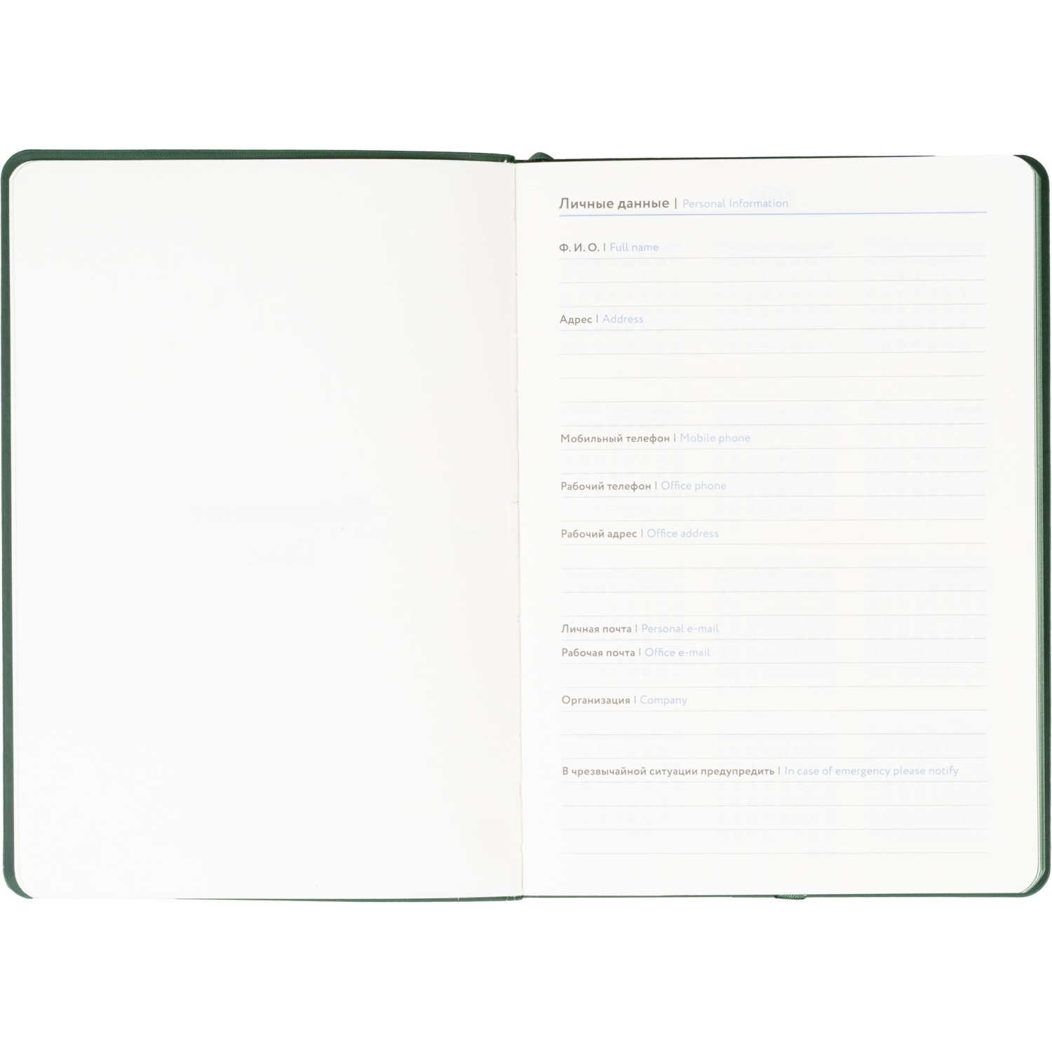 Ежедневник недатированный ATTACHE Soft touch А5,140х200мм,136л, темно-зелен - фото 7