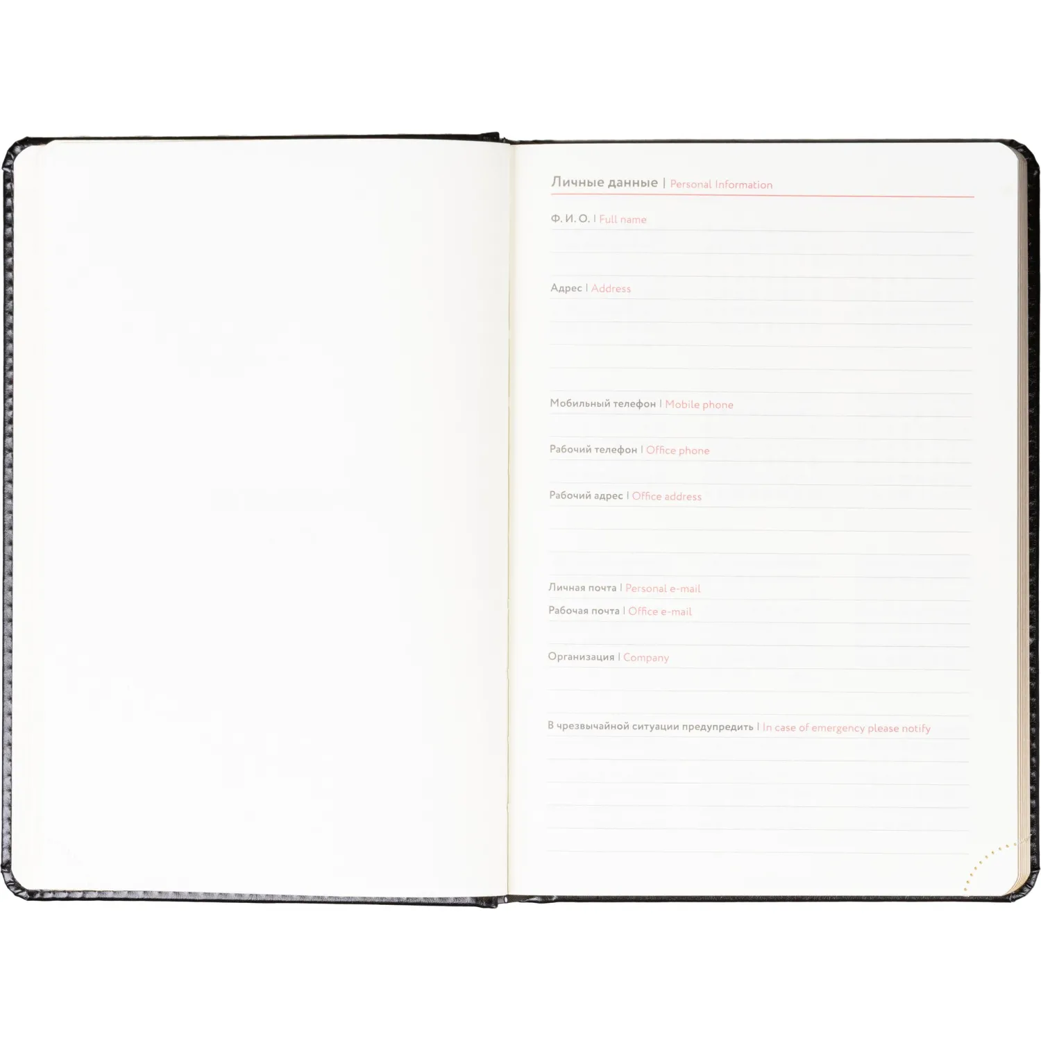 Ежедневник недатированный ATTACHE Gold А6, 160л, черный - фото 6