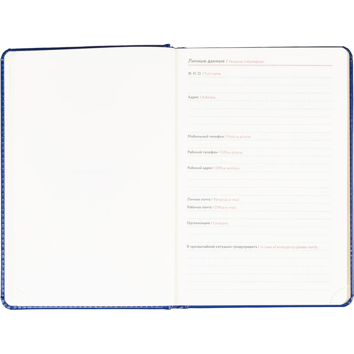 Ежедневник недатированный ATTACHE Gold А6, 160л, синий - фото 7