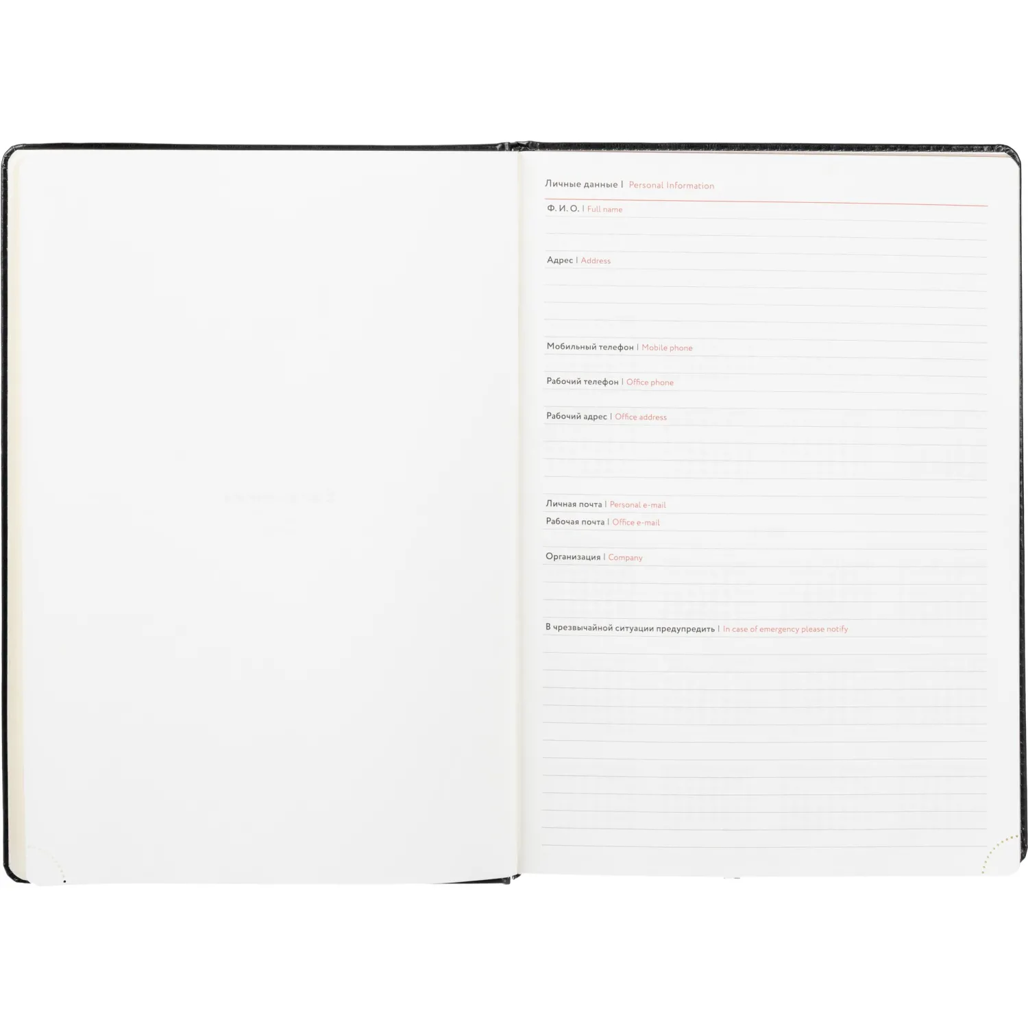 Ежедневник недатированный ATTACHE Gold А4, 160л, черный - фото 6