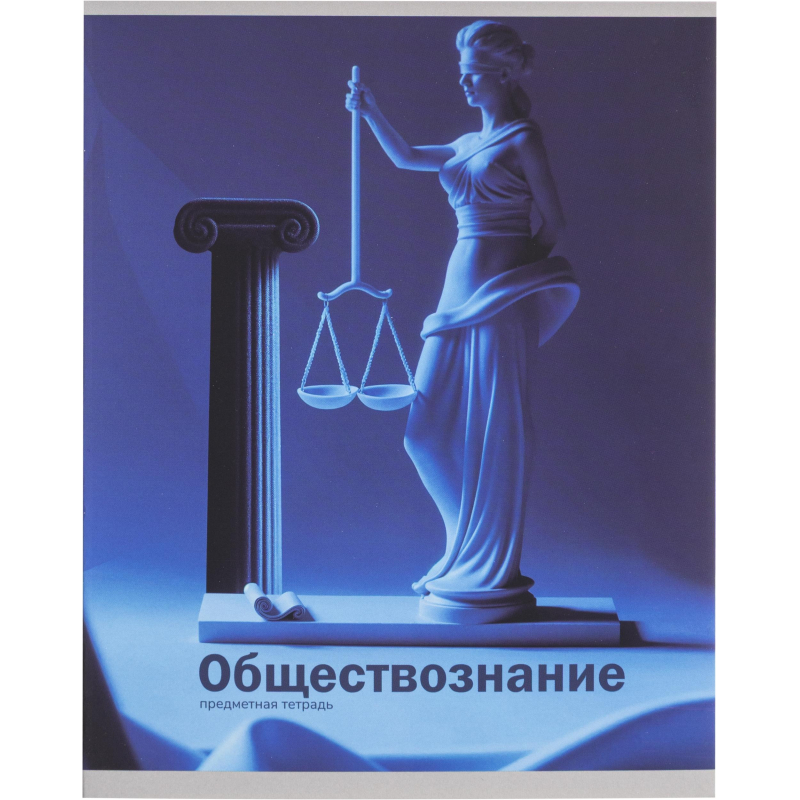Тетрадь предметная 48л. &#039;НА УРОКЕ&#039;, набор 12 шт., 48-2380 - фото 3
