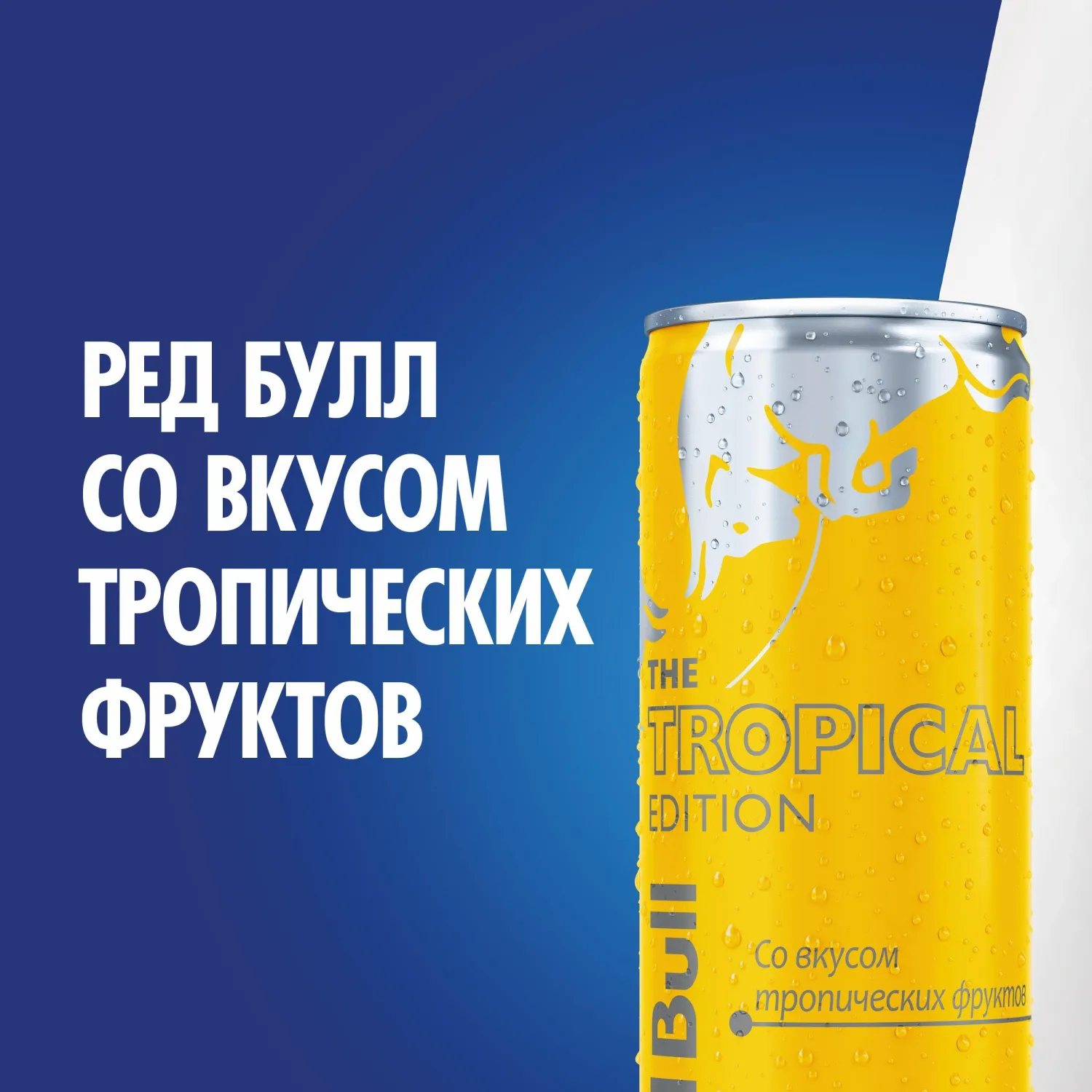 Напиток энергетический Red Bull Тропические фрукты, ж/б 0,25л - фото 2