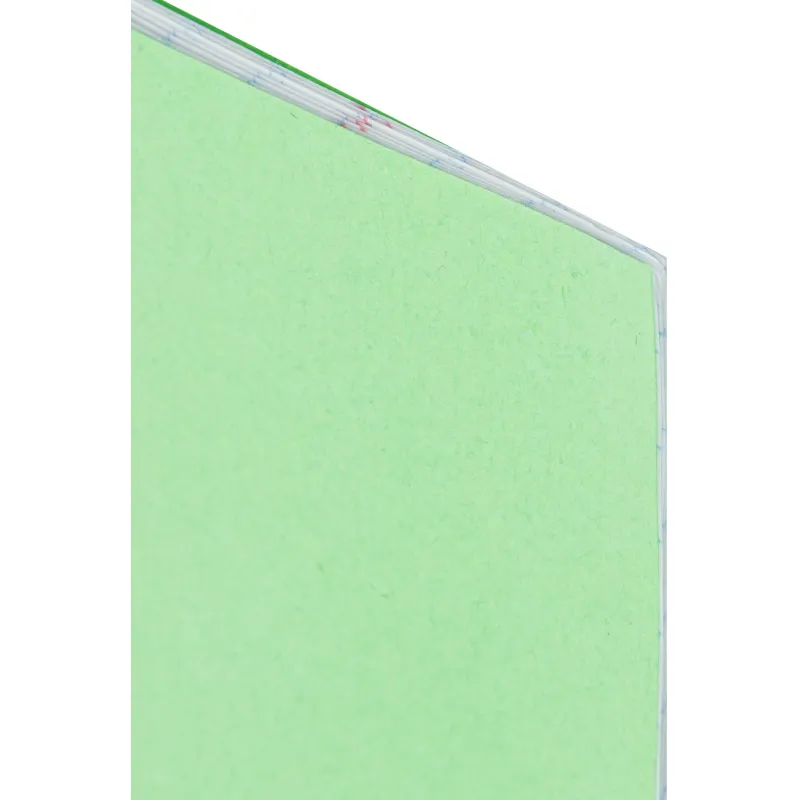 Тетрадь в зеленом офсете  12 л., крупная клетка, штука,100% белизна - фото 3