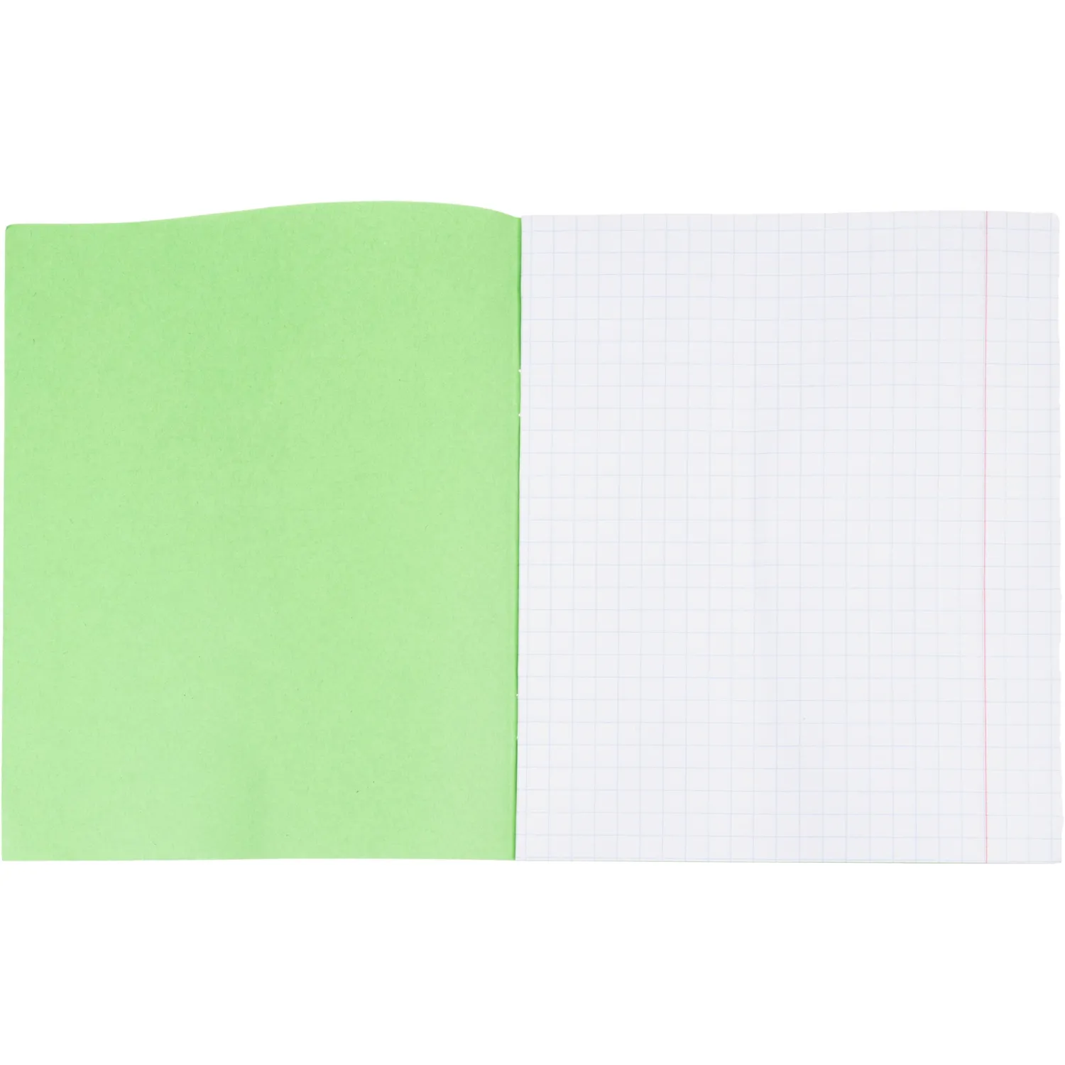 Тетрадь в зеленом офсете  12 л., крупная клетка, штука,100% белизна - фото 5