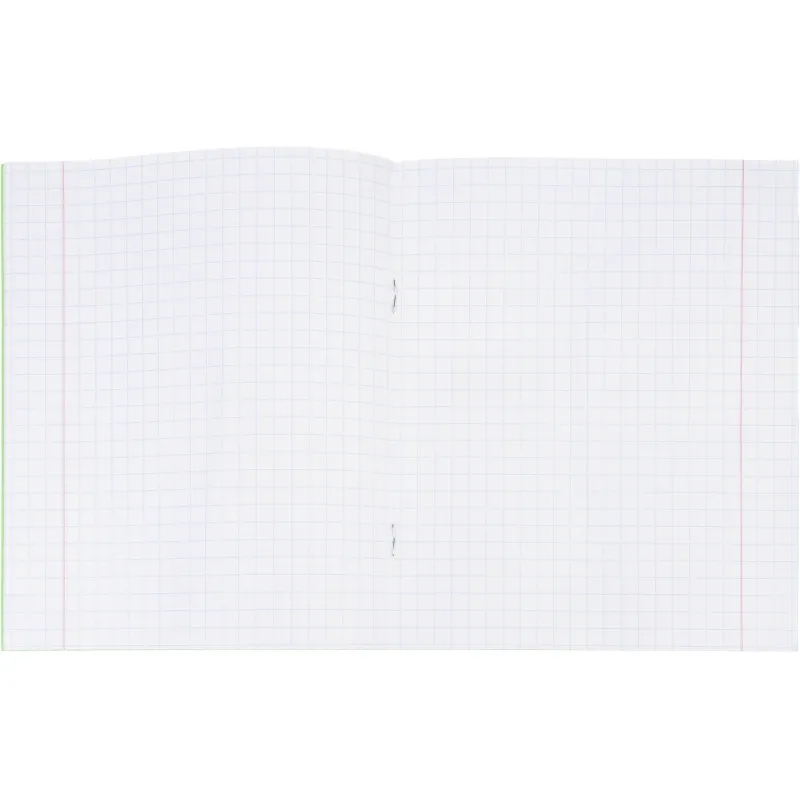 Тетрадь в зеленом офсете  12 л., крупная клетка, штука,100% белизна - фото 6