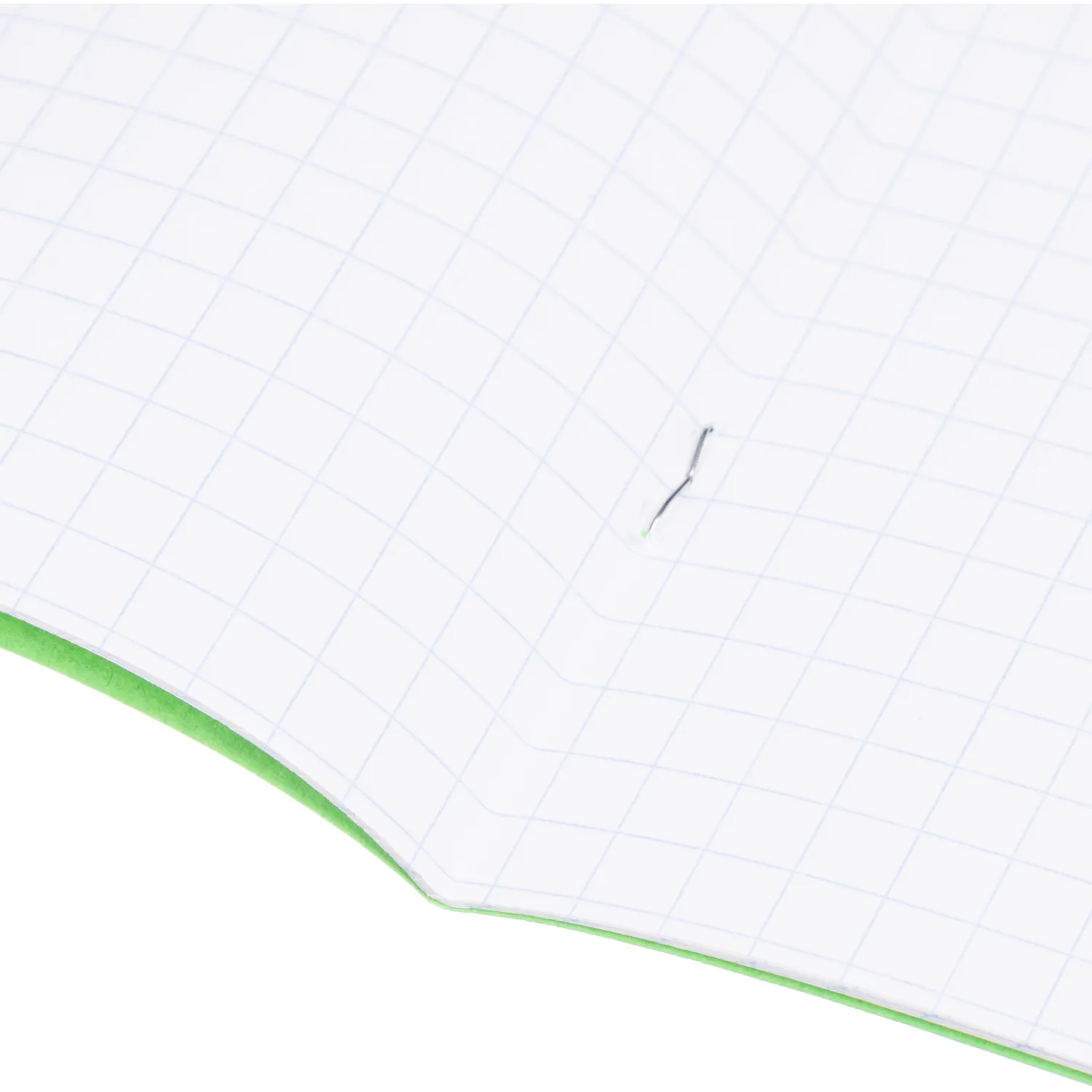 Тетрадь в зеленом офсете  12 л., крупная клетка, штука,100% белизна - фото 7