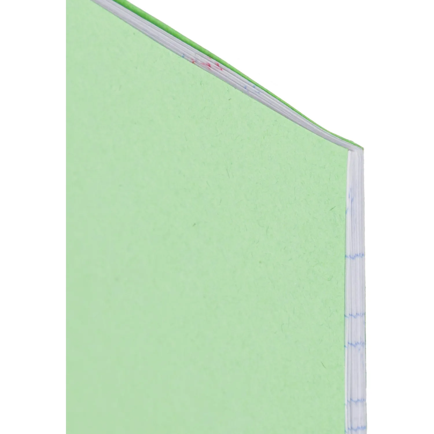 Тетрадь в зеленом офсете  12л., косая линия, штука, внутр.блок 100 - фото 3