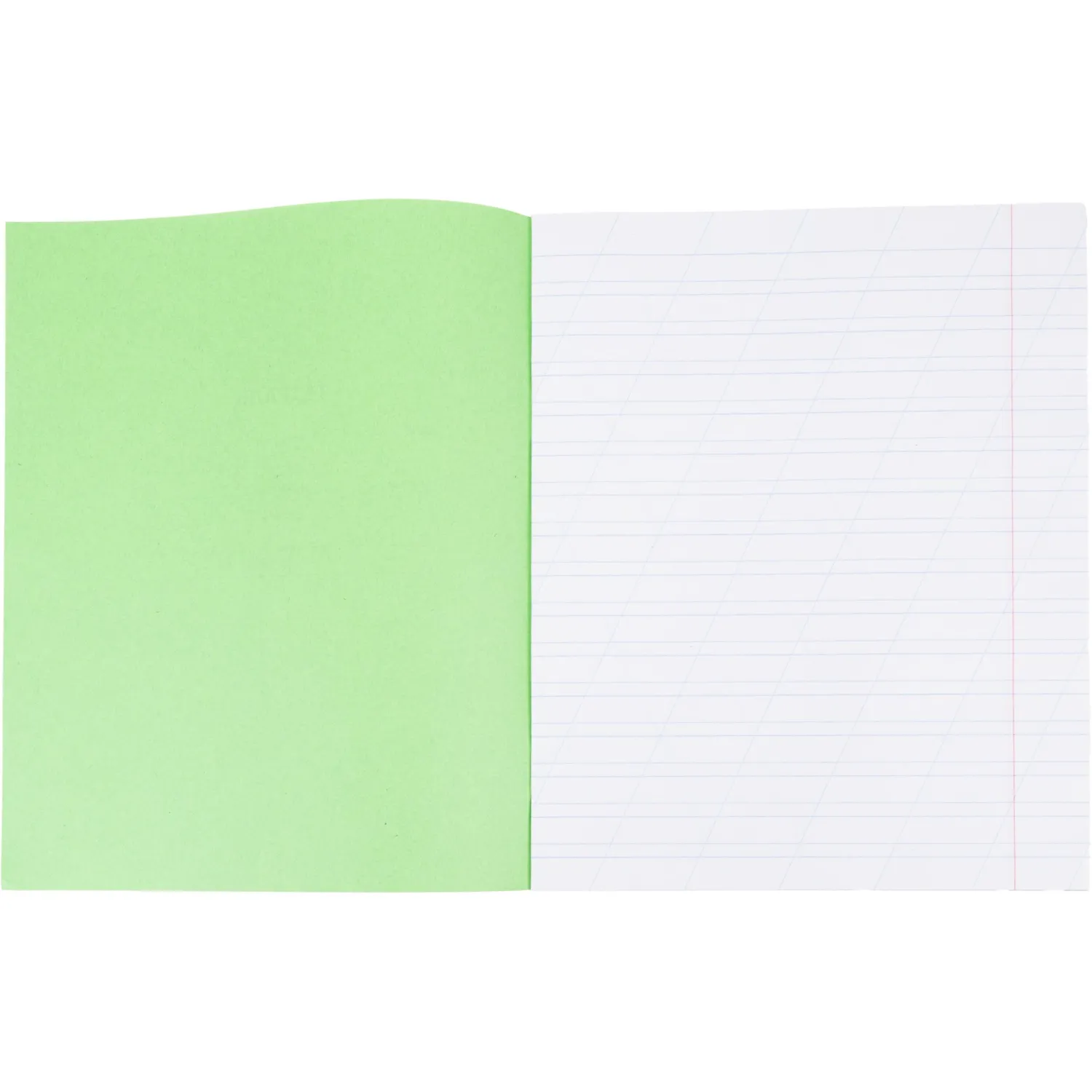 Тетрадь в зеленом офсете  12л., косая линия, штука, внутр.блок 100 - фото 5