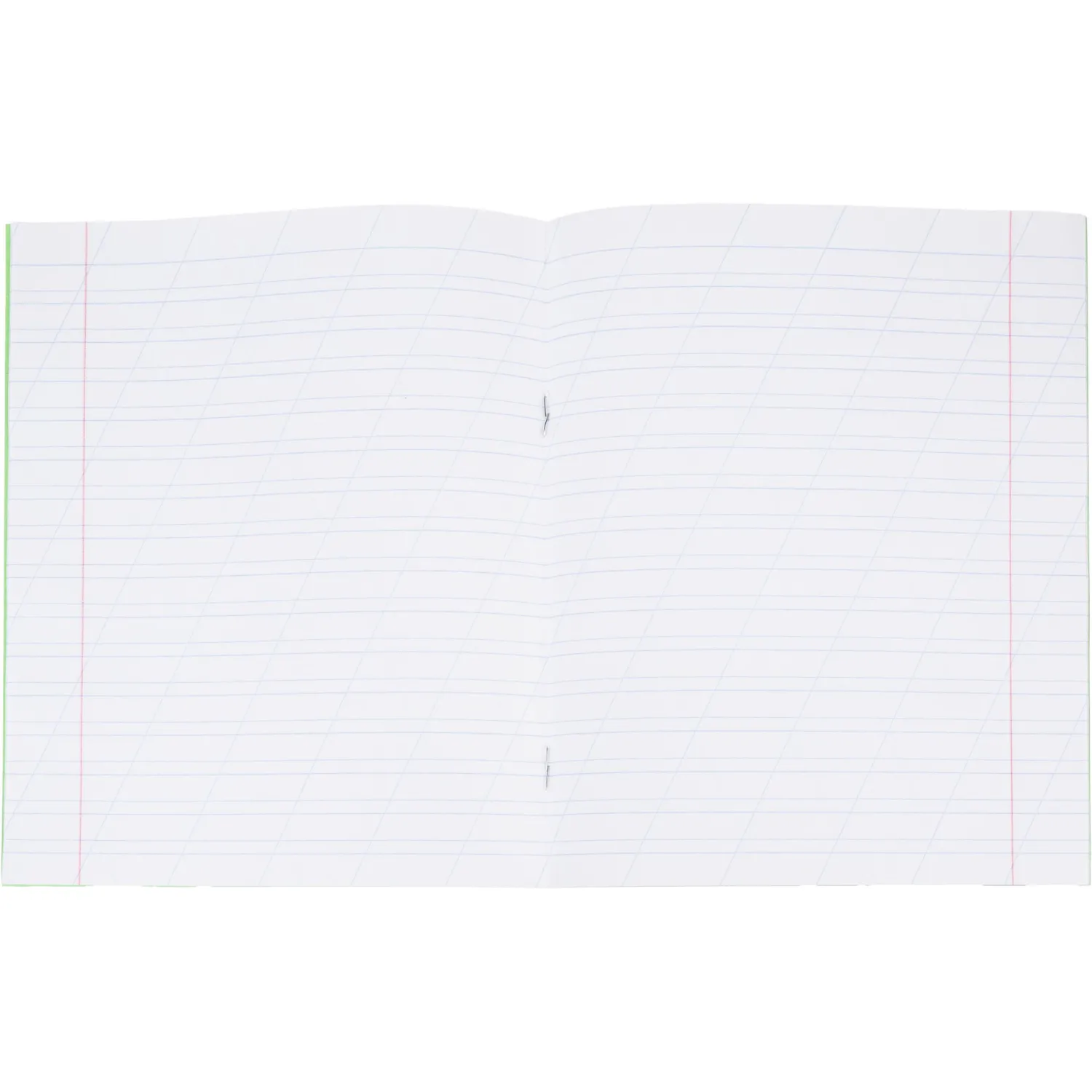 Тетрадь в зеленом офсете  12л., косая линия, штука, внутр.блок 100 - фото 6