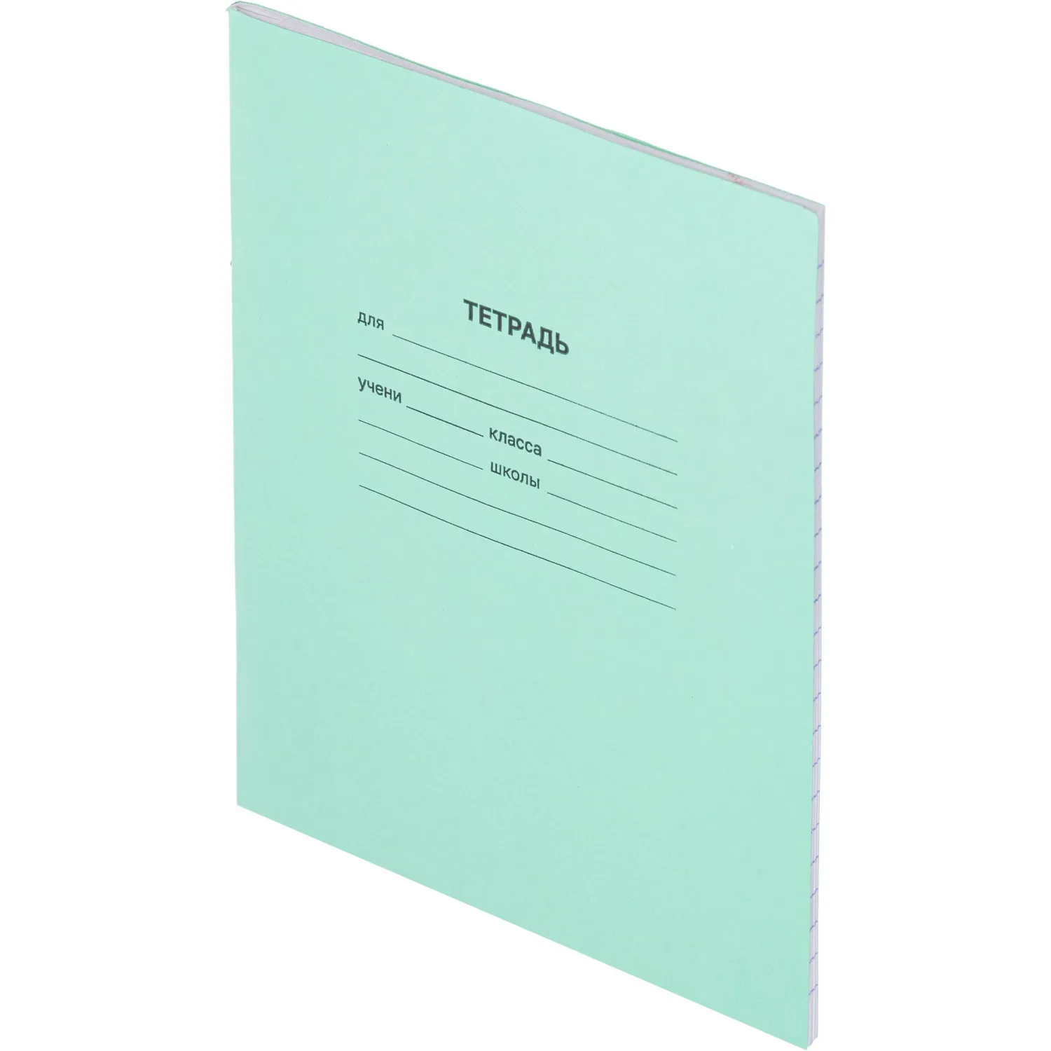Тетрадь в зеленом офсете  12 л., узкая линия, штука,100% белизна - фото 2