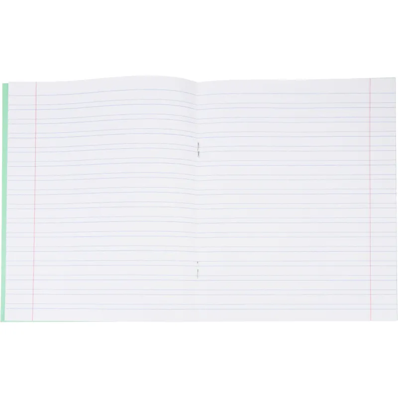 Тетрадь в зеленом офсете  12 л., узкая линия, штука,100% белизна - фото 6