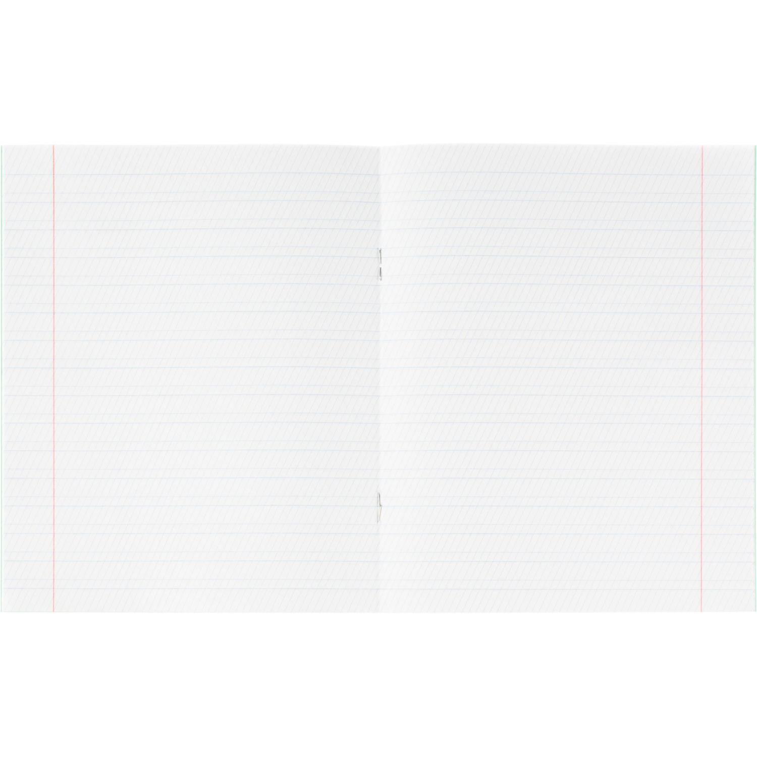 Тетрадь в зеленом офсете 12 л., частая косая линия, штука,100% белизна - фото 5