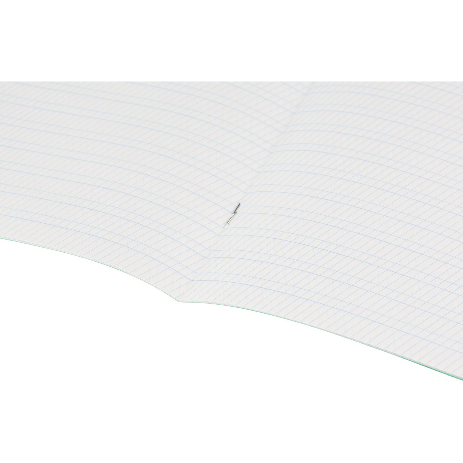 Тетрадь в зеленом офсете 12 л., частая косая линия, штука,100% белизна - фото 6