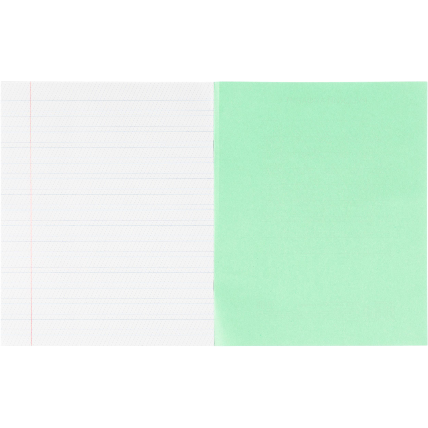 Тетрадь в зеленом офсете 12 л., частая косая линия, штука,100% белизна - фото 7