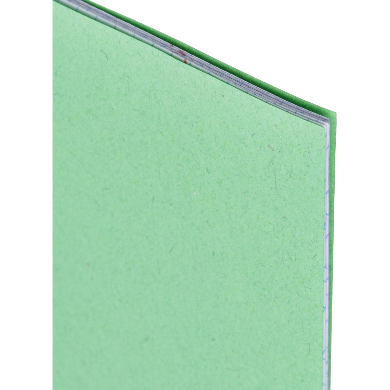 Тетрадь в зеленом офсете 12л,частая косая линия уп. по 20 шт.,100% белизна - фото 4