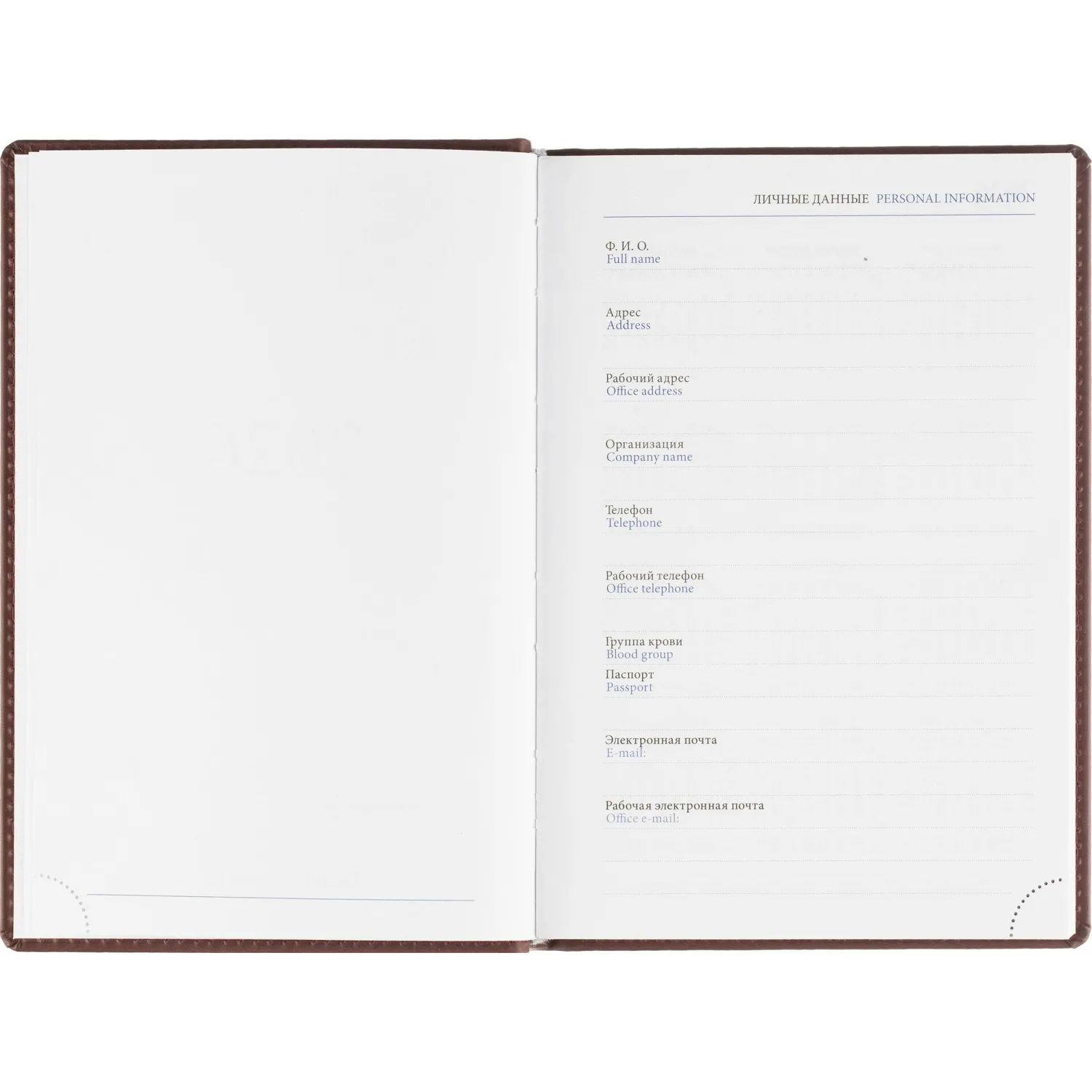 Ежедневник датированный 2026, бордо,А5, 148х218 мм,352 стр,АТТАСНЕ Вива - фото 3