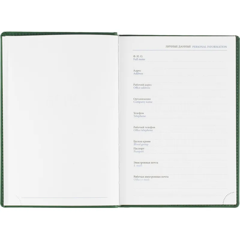 Ежедневник датированный 2026, зеленый,А5, 148х218 мм,352 стр,АТТАСНЕ Вива - фото 8