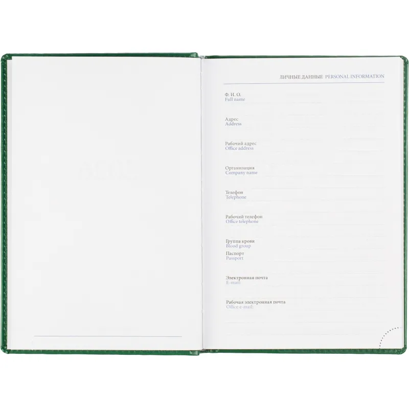 Ежедневник датированный 2026, зелен, А5, 148x218 мм, 352 стр,АТТАСНЕ Agenda - фото 6