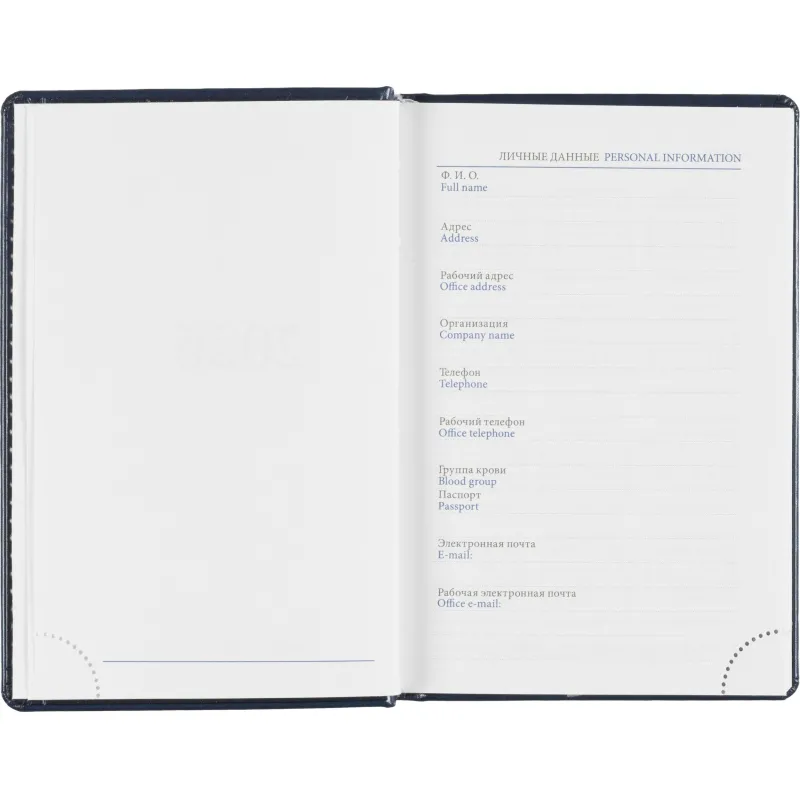 Ежедневник датированный 2026, синий,А6, 100х150 мм,336 стр,Agenda - фото 6