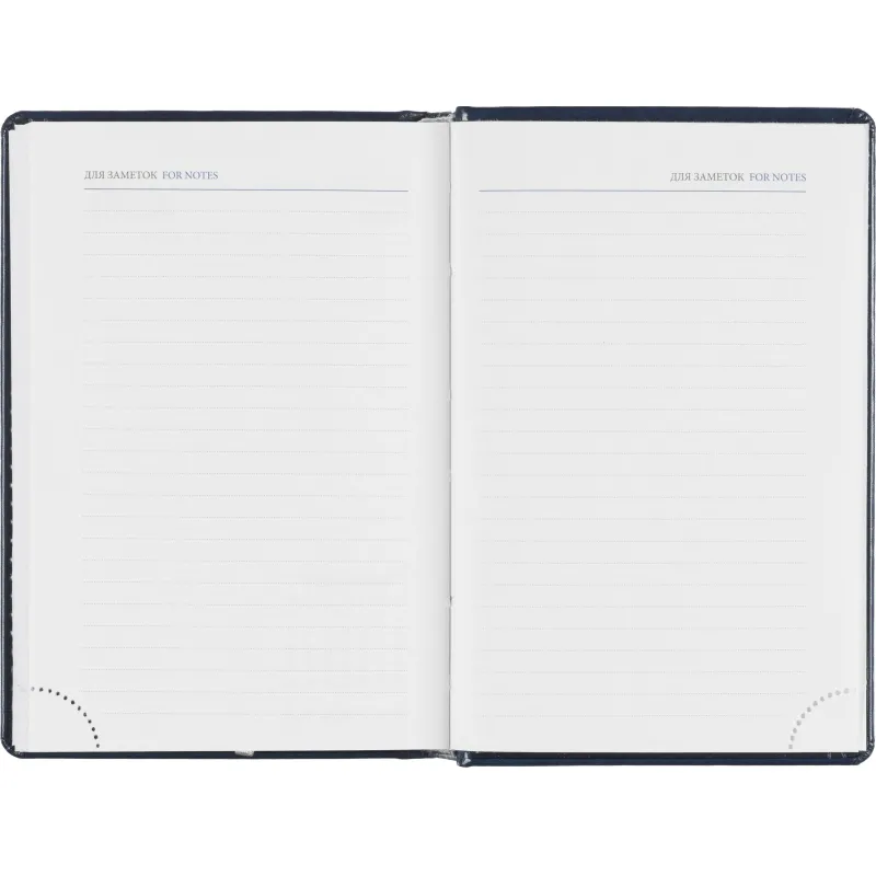 Ежедневник датированный 2026, синий,А6, 100х150 мм,336 стр,Agenda - фото 15