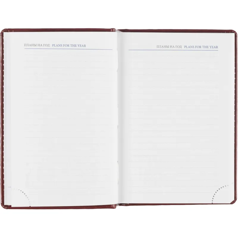 Ежедневник датированный 2026, бордо,А6, 100х150 мм,336 стр,Agenda - фото 13