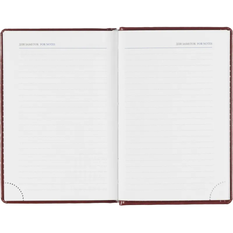 Ежедневник датированный 2026, бордо,А6, 100х150 мм,336 стр,Agenda - фото 15
