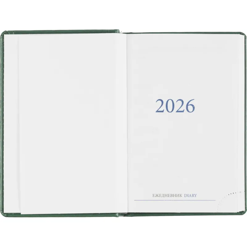 Ежедневник датированный 2026, зеленый,А6, 100х150 мм,336 стр,Agenda - фото 5