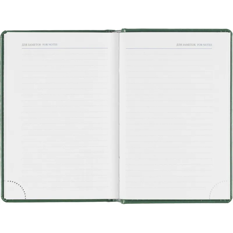 Ежедневник датированный 2026, зеленый,А6, 100х150 мм,336 стр,Agenda - фото 15