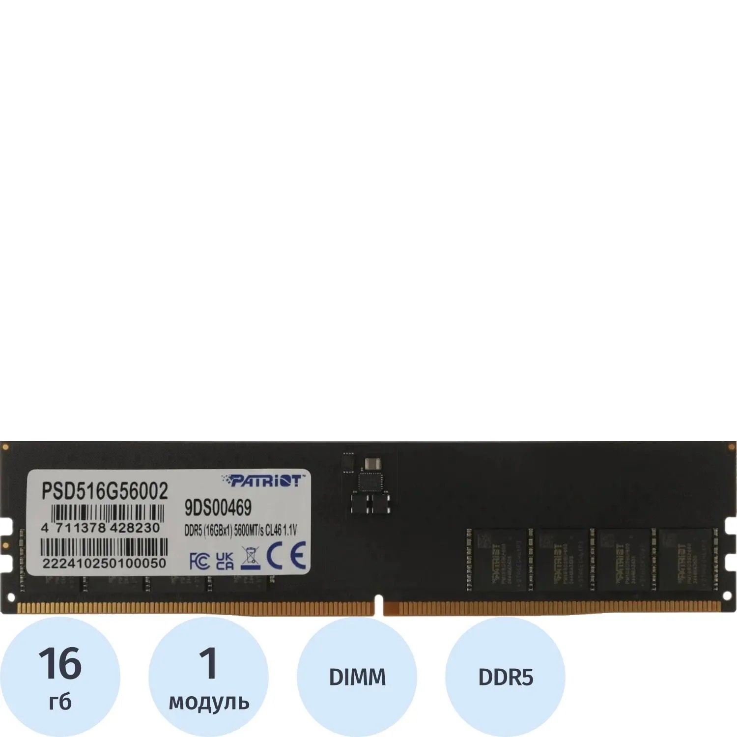 Модуль памяти Patriot DDR 5 DIMM 16Gb 5600Мгц(PSD516G56002) - фото 1
