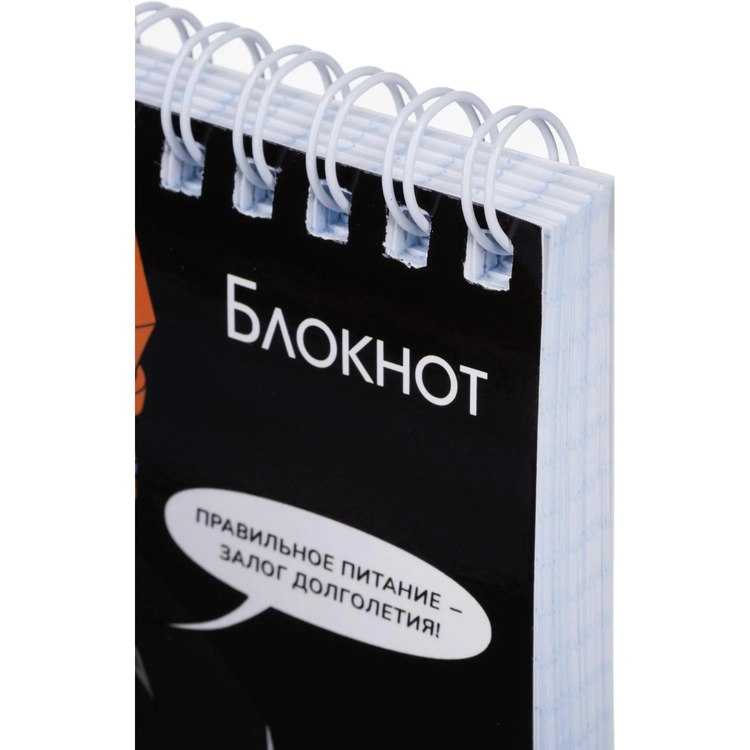Блокнот А6, 96л, КОЩЕЙ БЕССМЕРТНЫЙ клетка,гребень,УФ-лак/70137 - фото 3