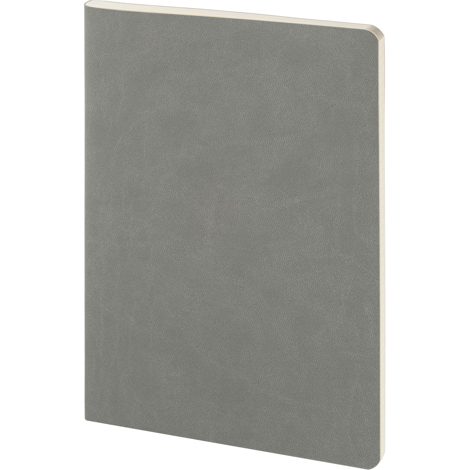 Бизнес-тетрадь А5,Bruno Visconti,MEGAPOLIS 60л.Клетка,7-60-550/28 - фото 2