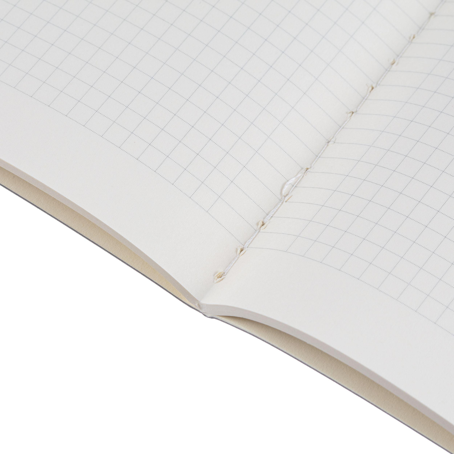 Бизнес-тетрадь А5,Bruno Visconti,MEGAPOLIS 60л.Клетка,7-60-550/28 - фото 8