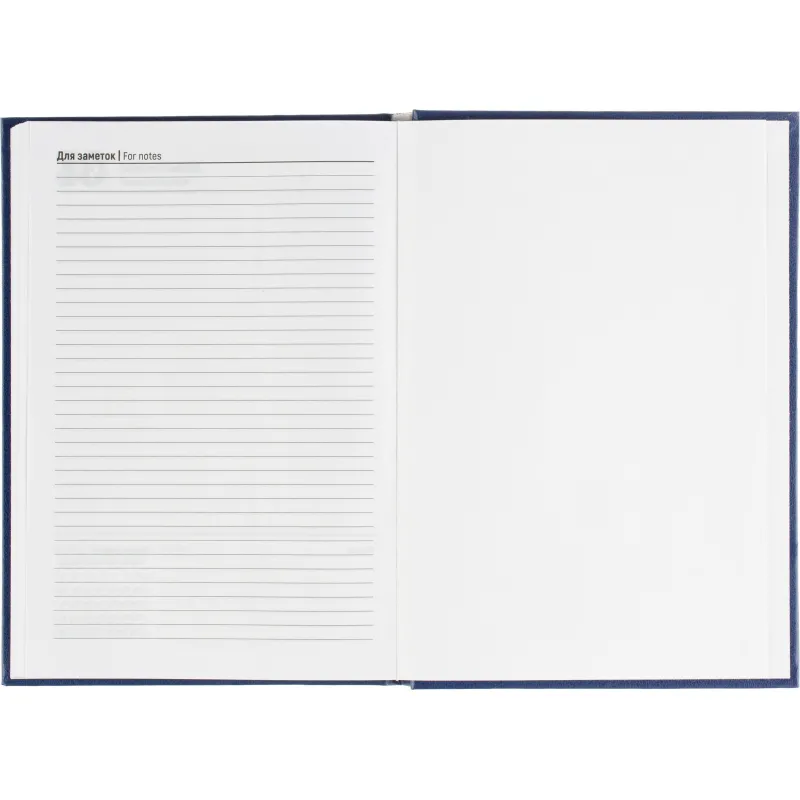 Ежедневник датированный 2026 Выбор есть, А5, 160л, бумвинил, синий - фото 10