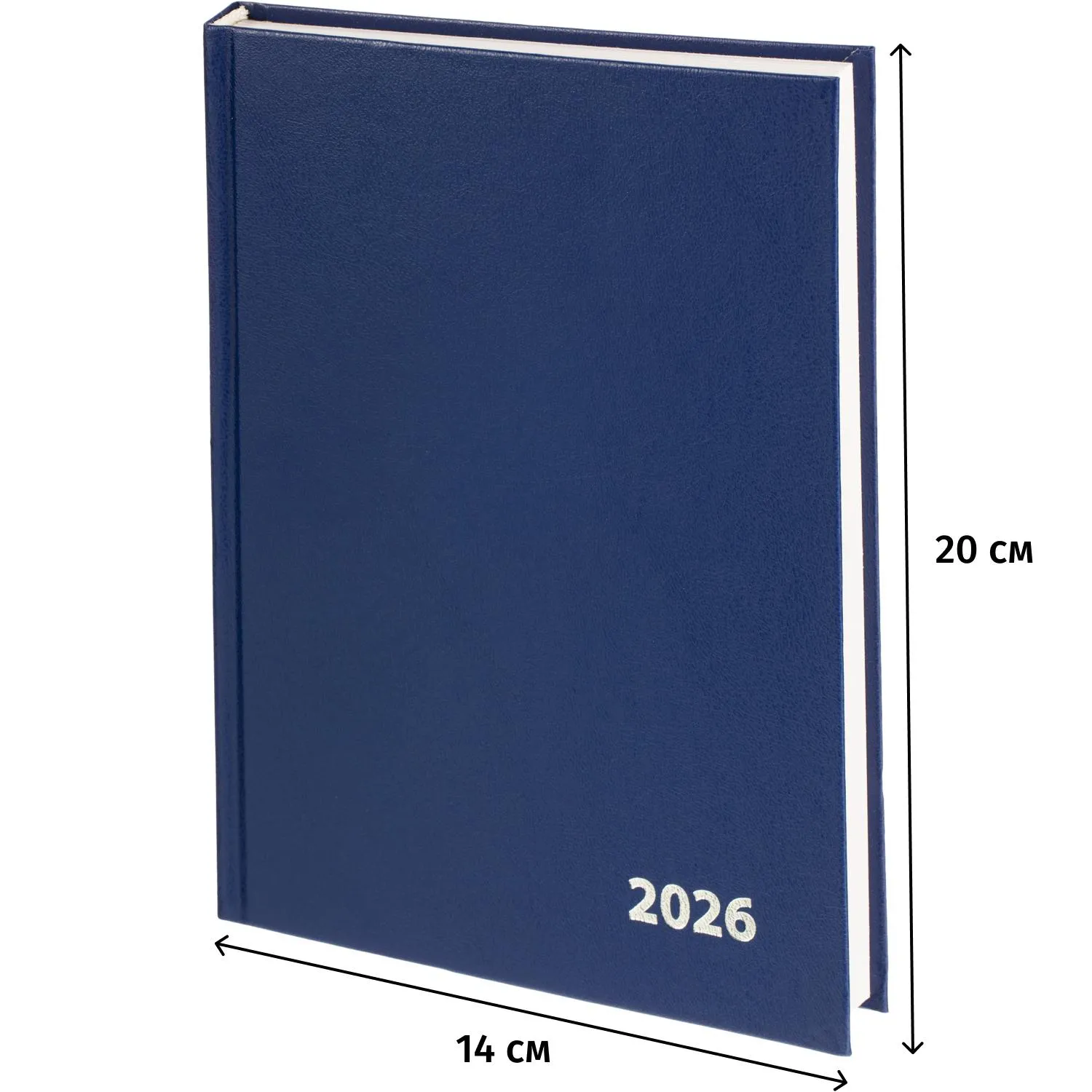 Ежедневник датированный 2026 Выбор есть, А5, 160л, бумвинил, синий - фото 15